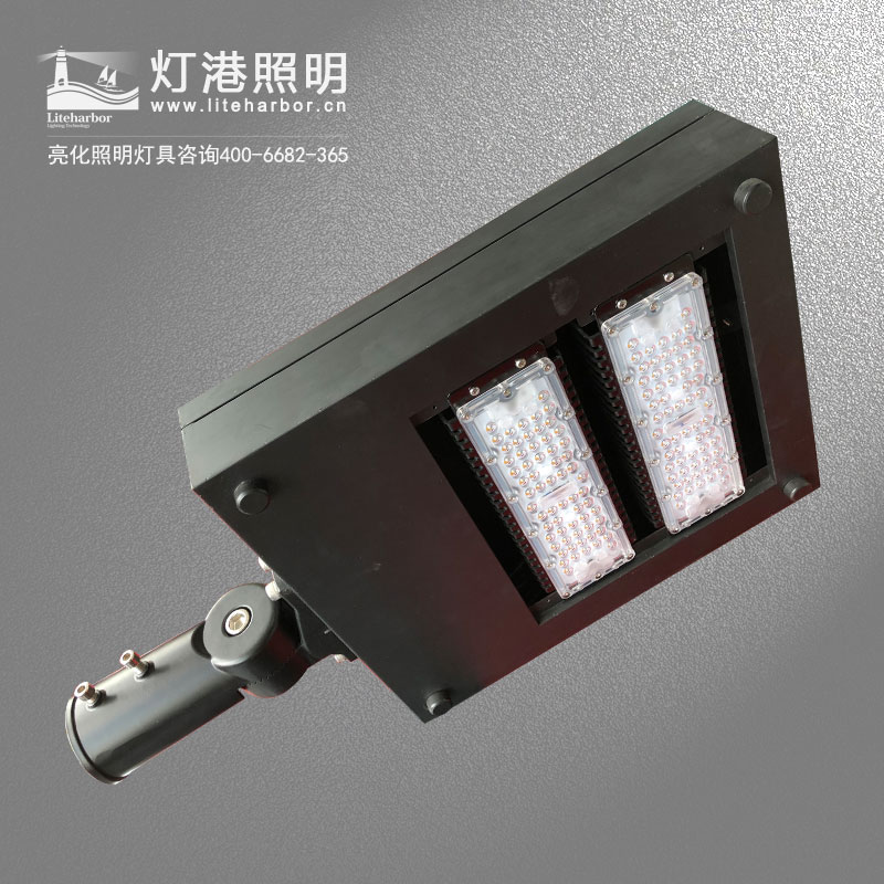 DG5102-LED路燈 戶外大功率防水道路亮化led路燈專(zhuān)業(yè)廠家